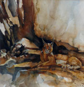 BARRY JACKSON