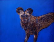 margot hattingh